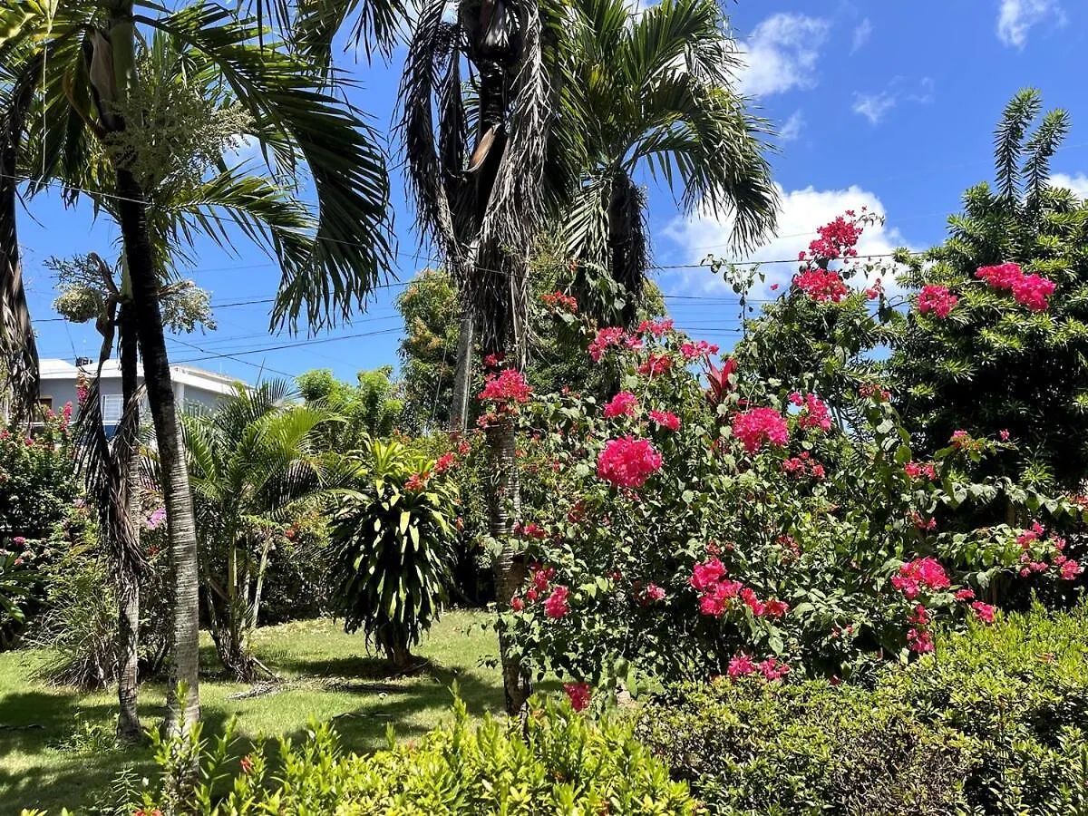Chalet Larimar Charming Villa In Las Galeras